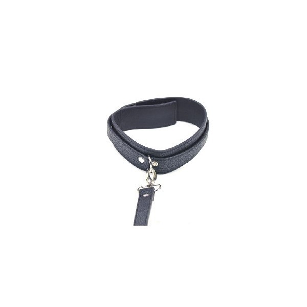 Collier Laisse pour le trip Dog Training, idéal pour amusement chien